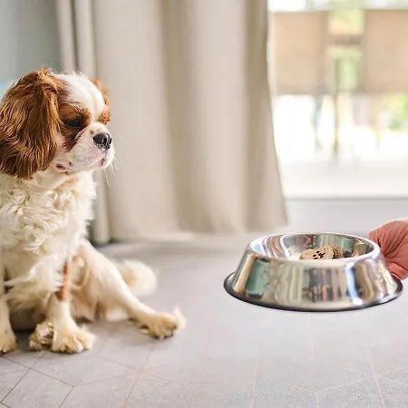 Aminess Planet Homes Sirena